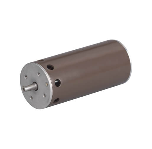DC permanent magnet motor: 5255 series